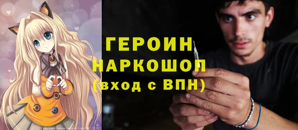 PSILOCYBIN Ельня