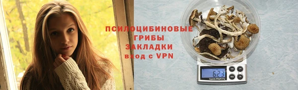молекула духа Нязепетровск