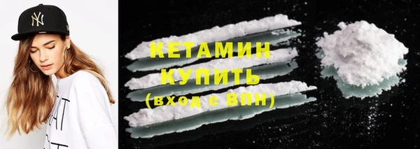 ГАЛЛЮЦИНОГЕННЫЕ ГРИБЫ Дмитриев