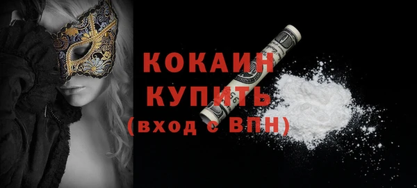 мет Няндома
