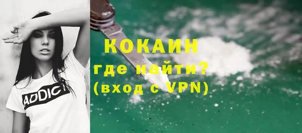 PSILOCYBIN Ельня