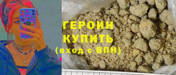 ГАЛЛЮЦИНОГЕННЫЕ ГРИБЫ Дмитриев