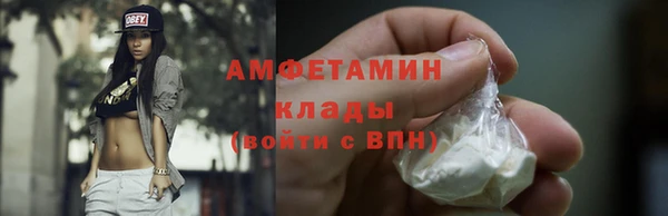 ГАЛЛЮЦИНОГЕННЫЕ ГРИБЫ Дмитриев