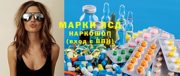 ГАЛЛЮЦИНОГЕННЫЕ ГРИБЫ Дмитриев