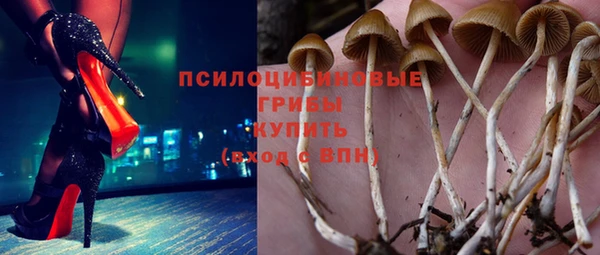 ГАЛЛЮЦИНОГЕННЫЕ ГРИБЫ Дмитриев