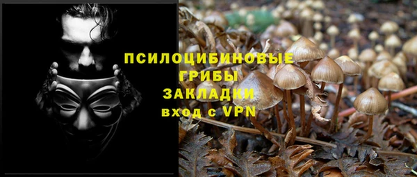 бутират Нягань